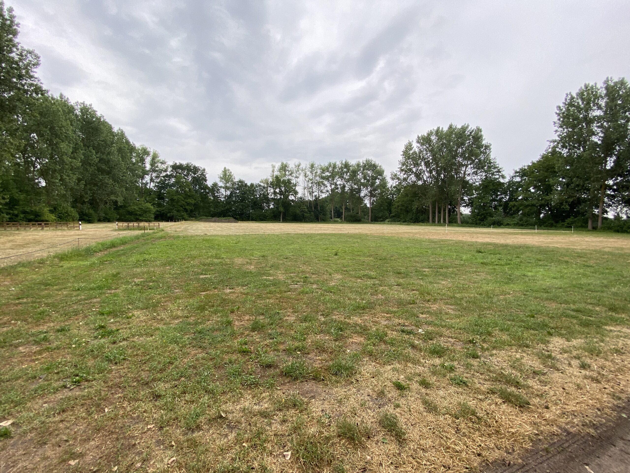 Parkplätze direkt davor nur durch Baum und Buschreihe getrennt